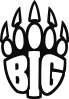 BIG Academy logo